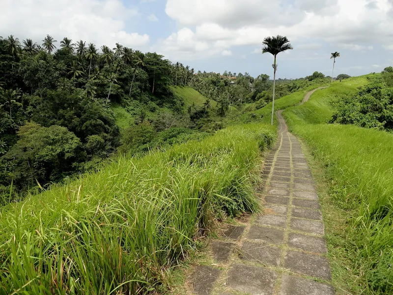 The path along Campuhan Ridge, Ubud